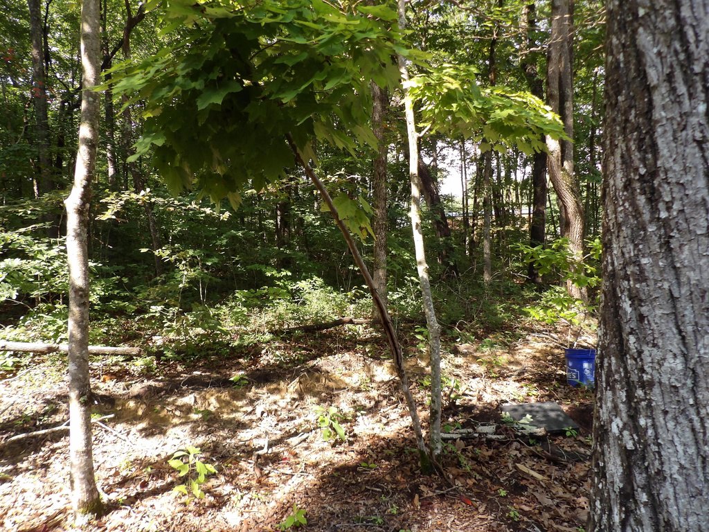 Picture 21