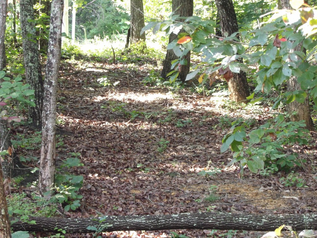 Picture 25