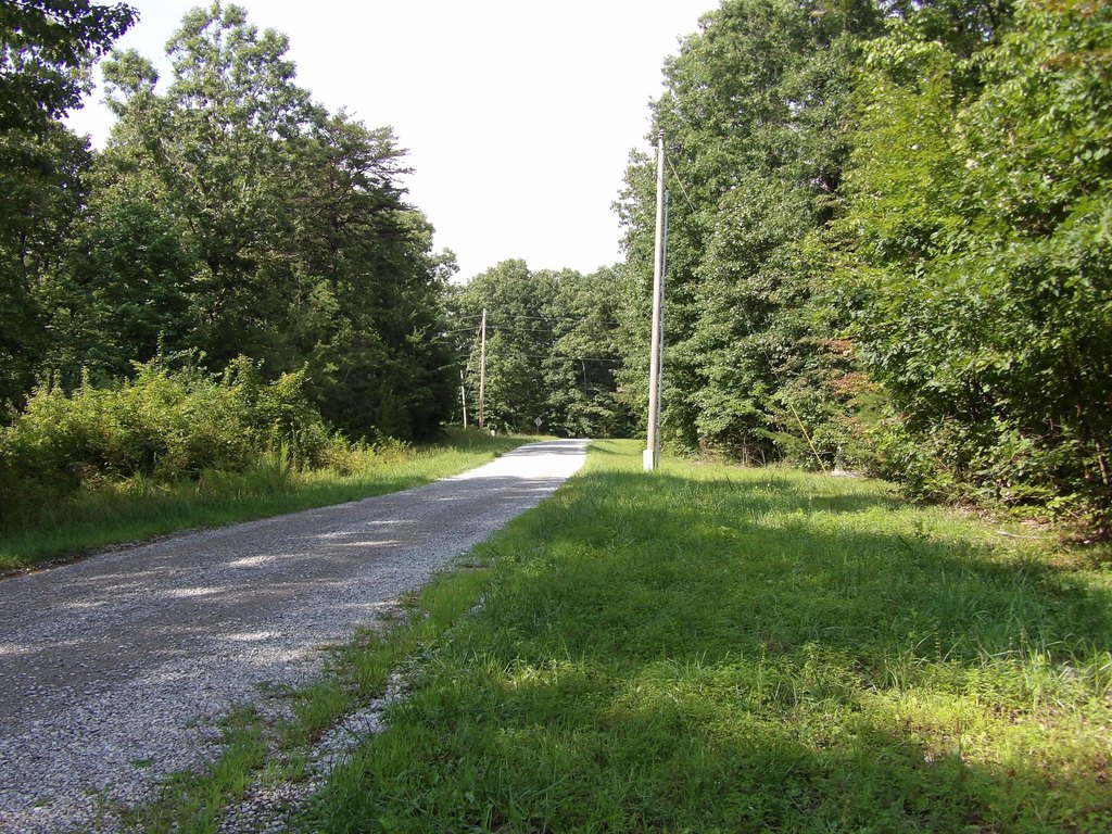 Picture 28
