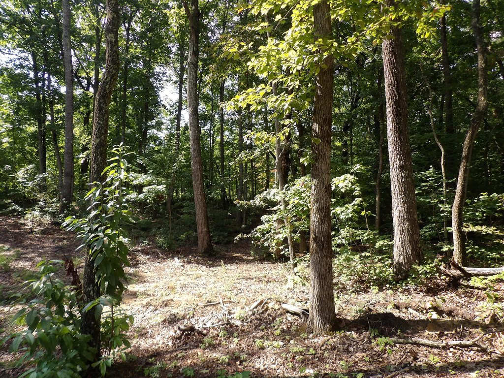 Picture 23