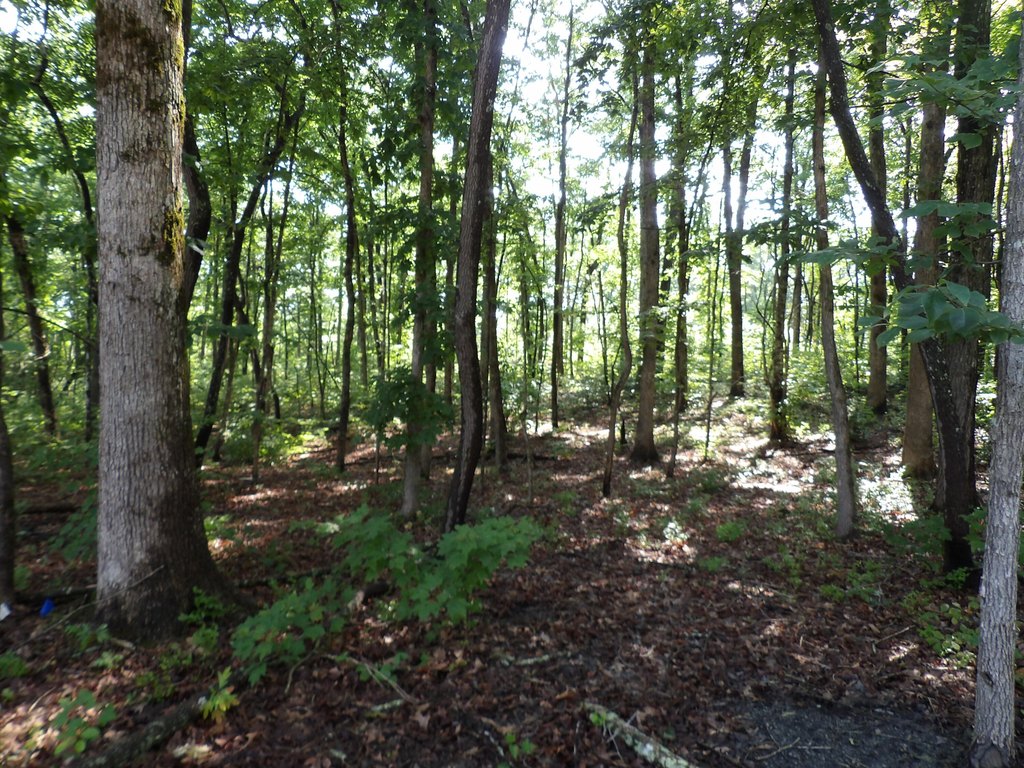 Picture 10