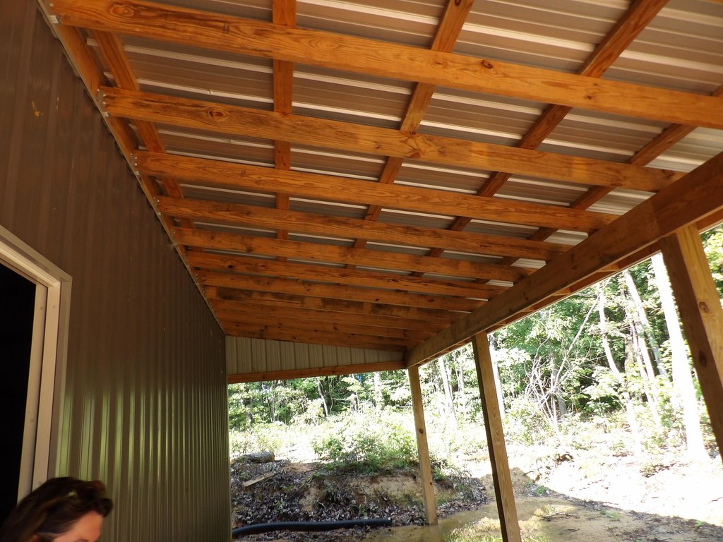 Picture 6