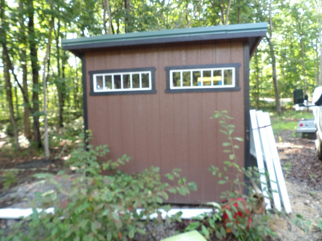 Picture 9