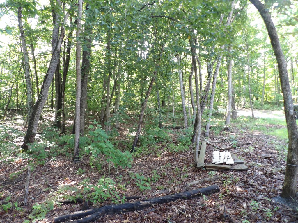 Picture 12