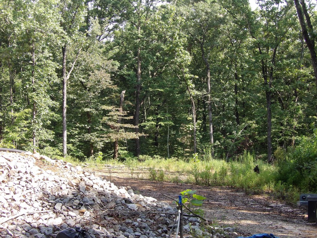 Picture 24