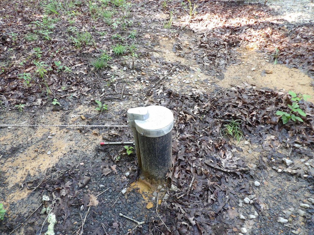 Picture 14