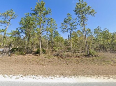 LAND - BROOKSVILLE, FL