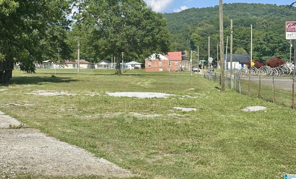 Picture 3
