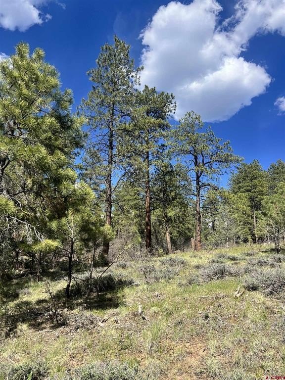 Land in Pagosa Springs, CO