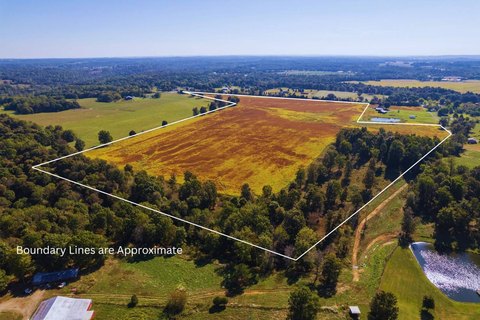 Row Crop Farm with Homesite Land