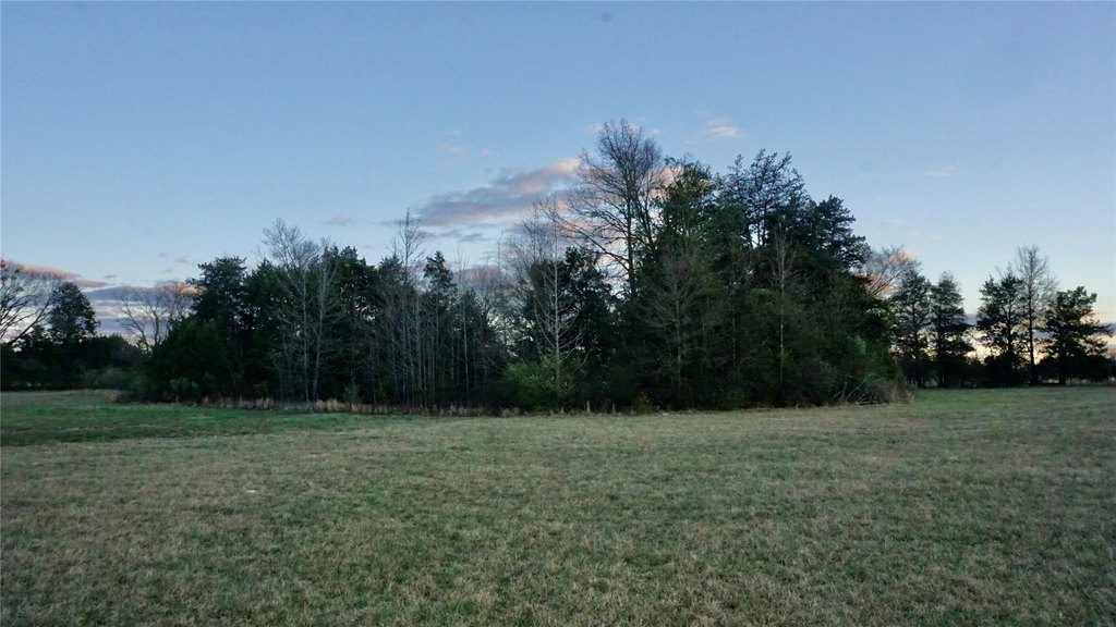 Picture 13
