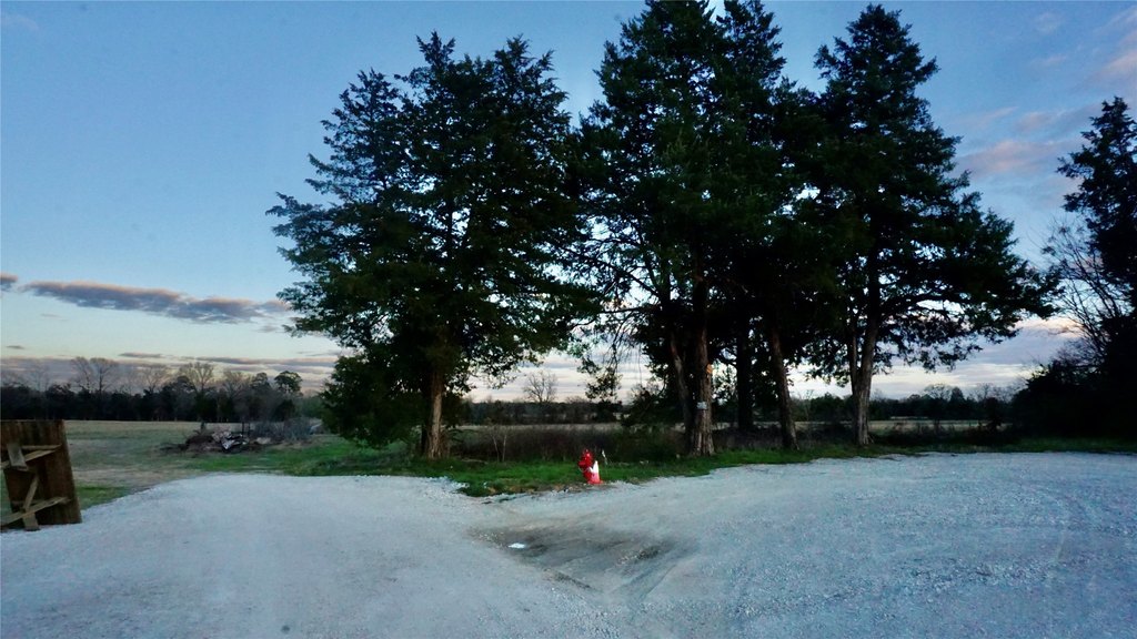 Picture 10