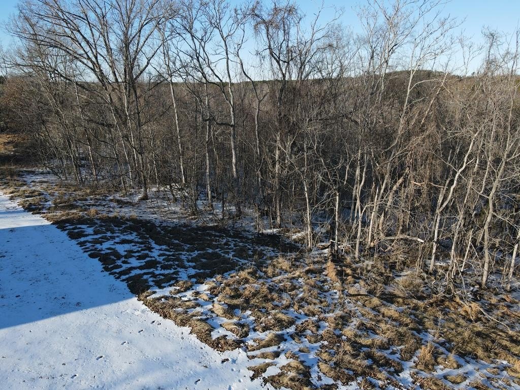 Picture 10