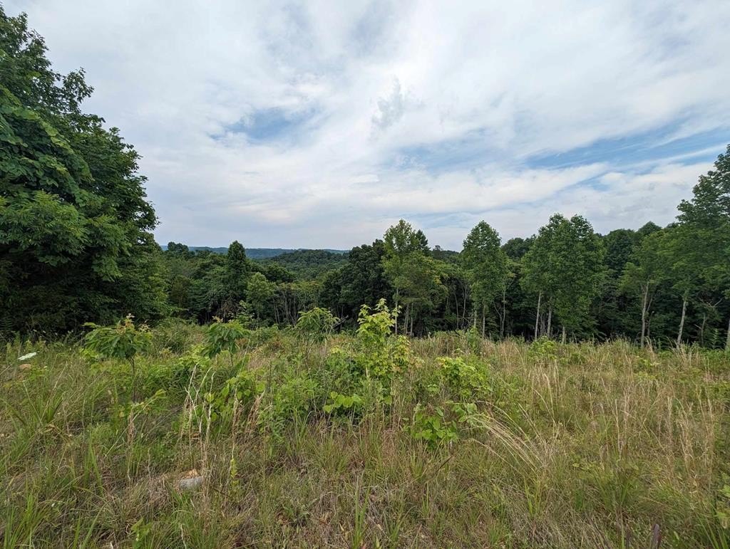 Land with Lake Views