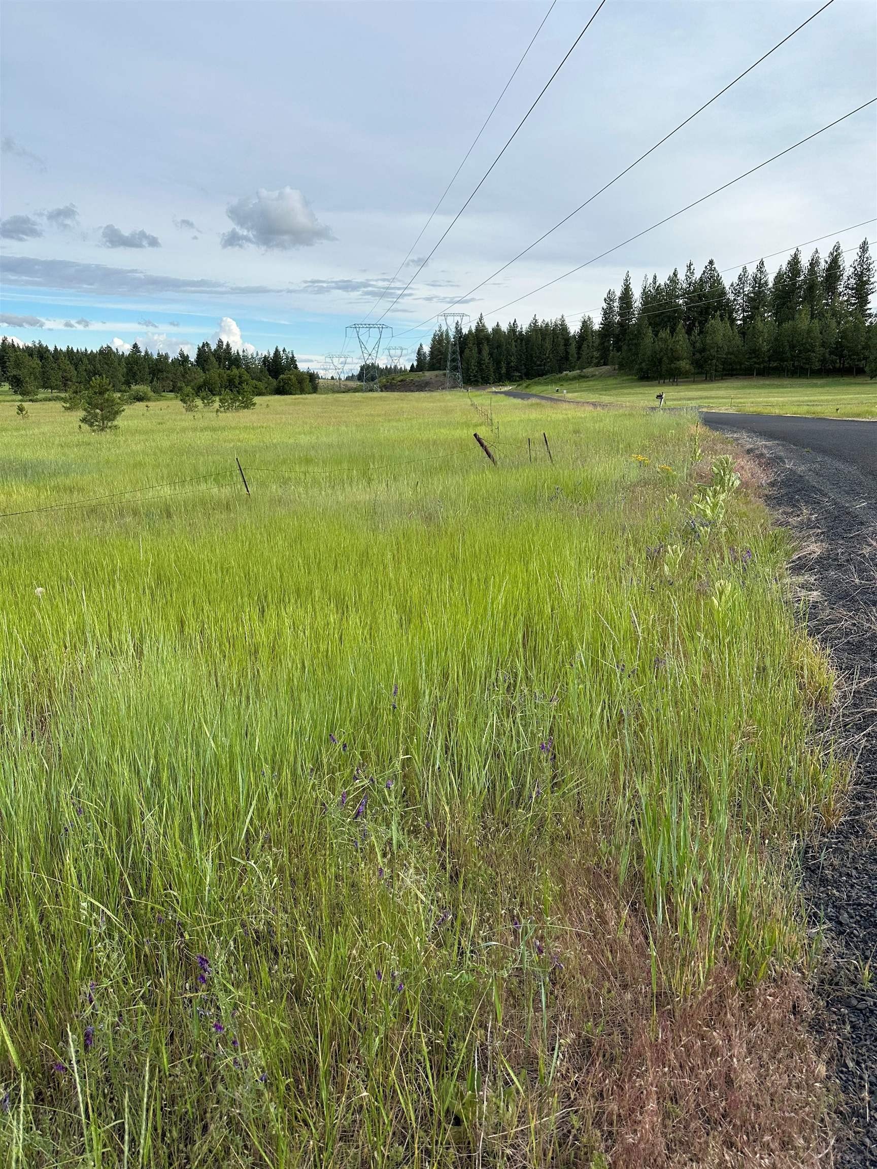 Chattaroy Land For Sale