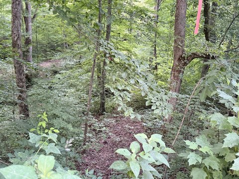 Lake Area Building Lot