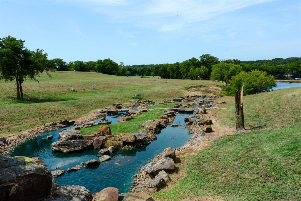 Picture 8