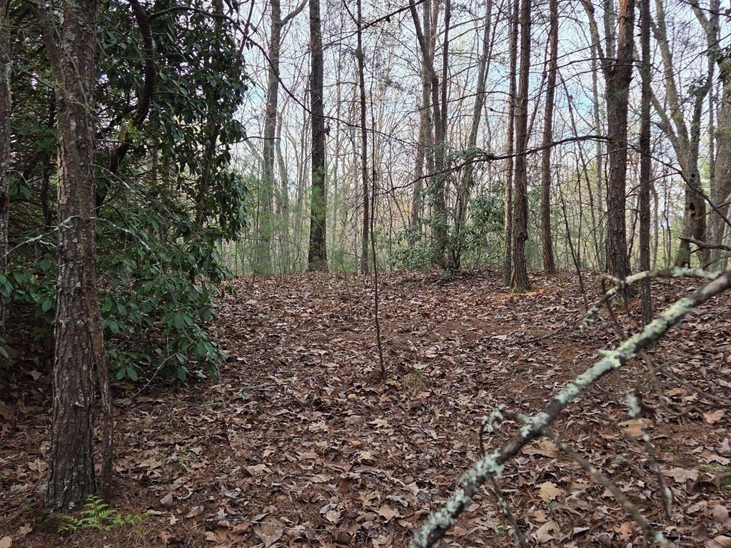 Picture 14
