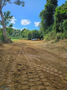 Vacant Lot, Miraflores, Arecibo, PR