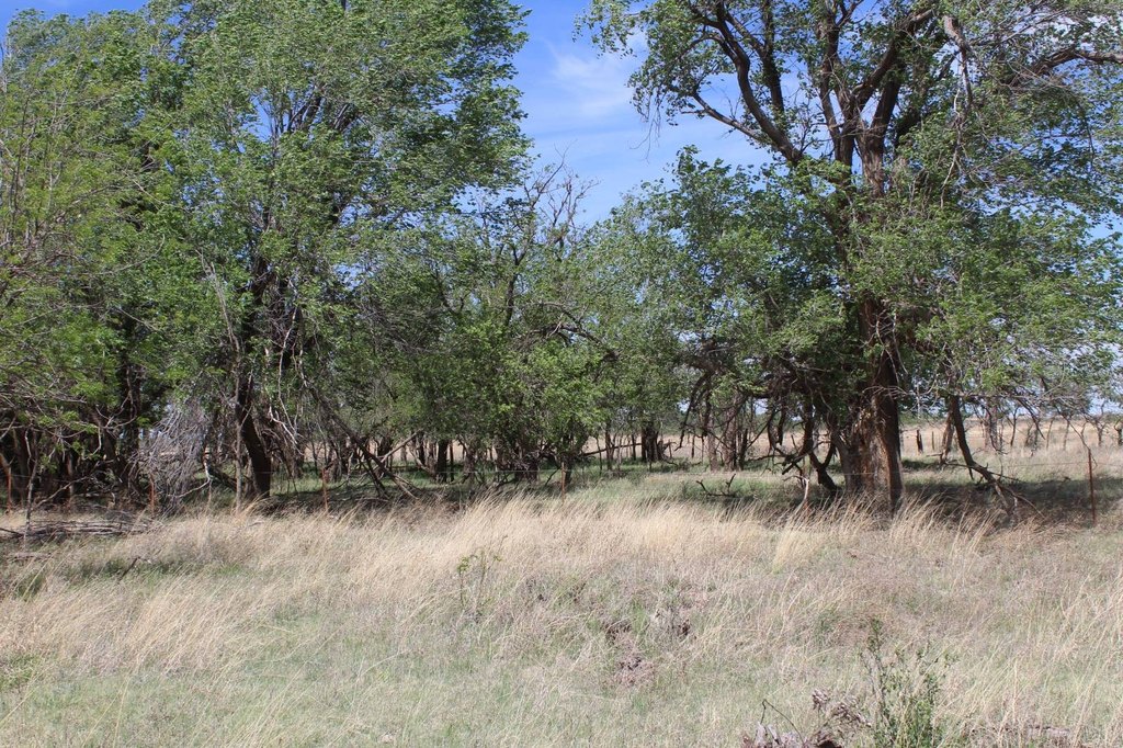 Picture 11