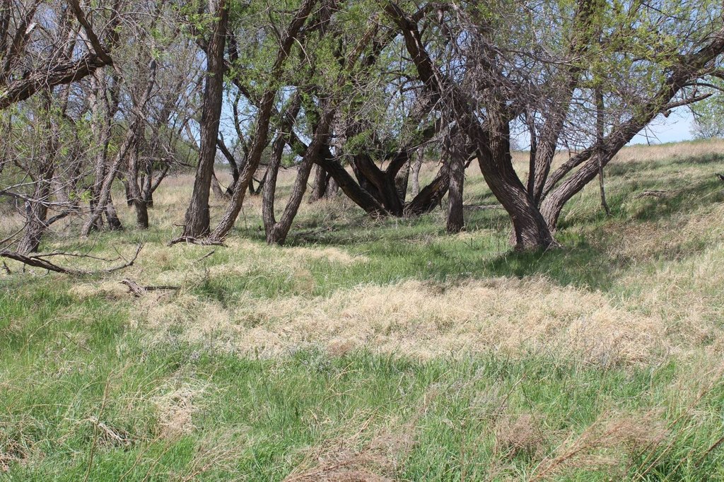 Picture 22