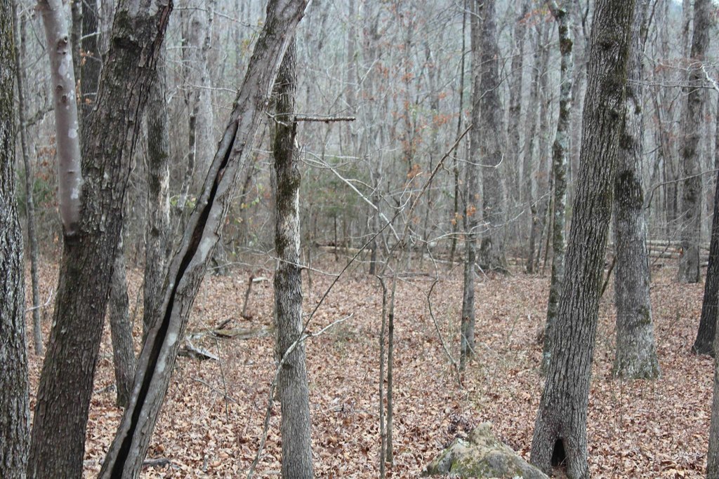 Picture 19