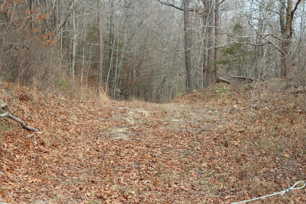 Picture 6