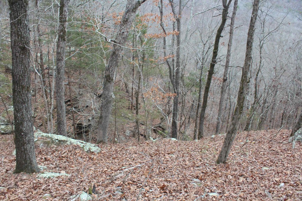 Picture 38