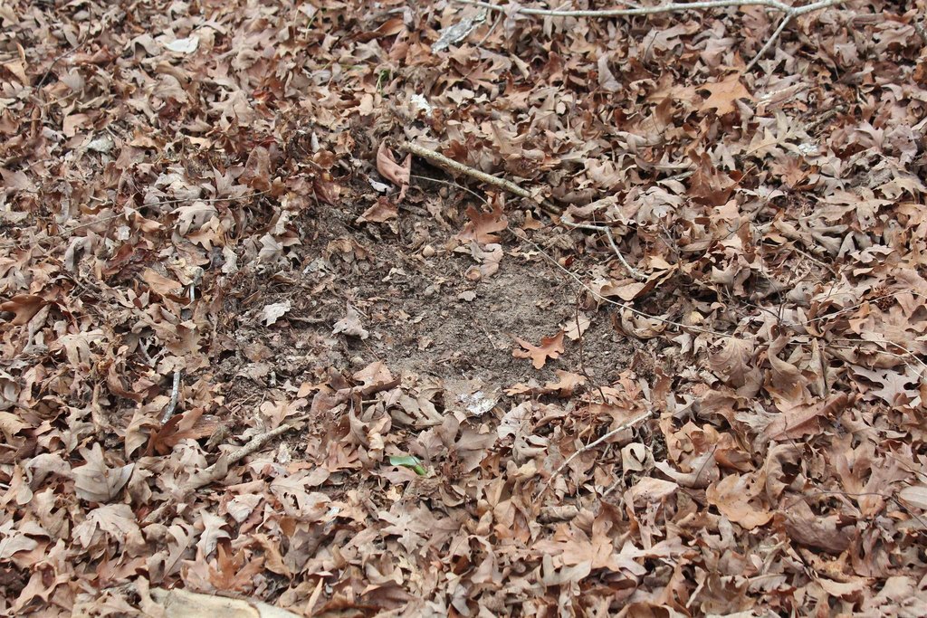 Picture 41