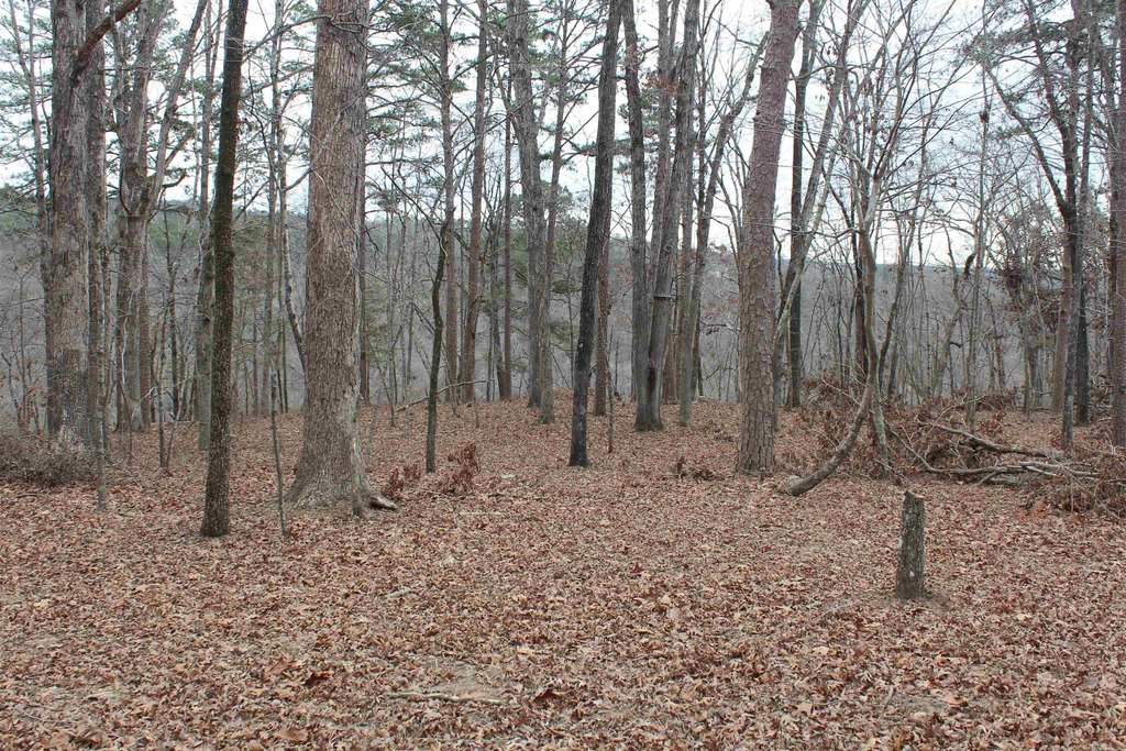 Picture 45