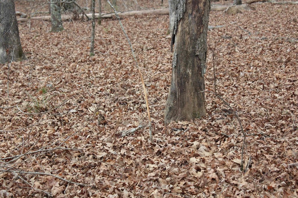 Picture 30