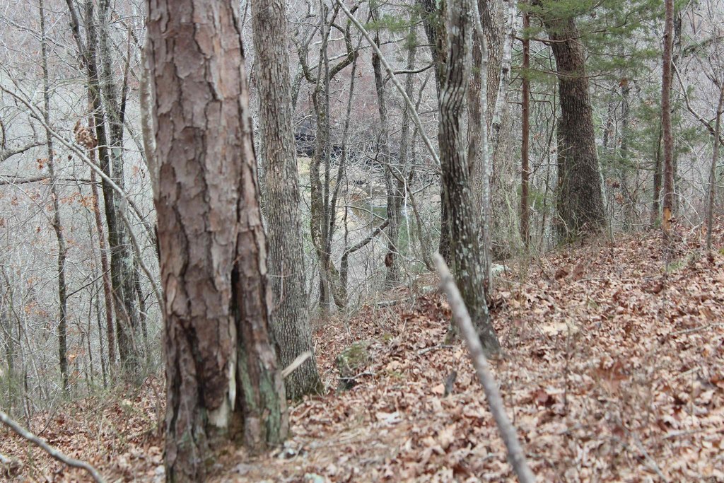 Picture 42