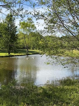 31.53 Acres in Murphy, NC
