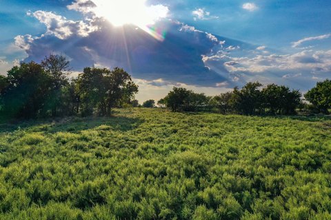 Agricultural Land with Creek