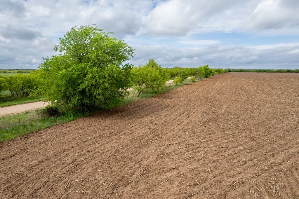 Picture 14