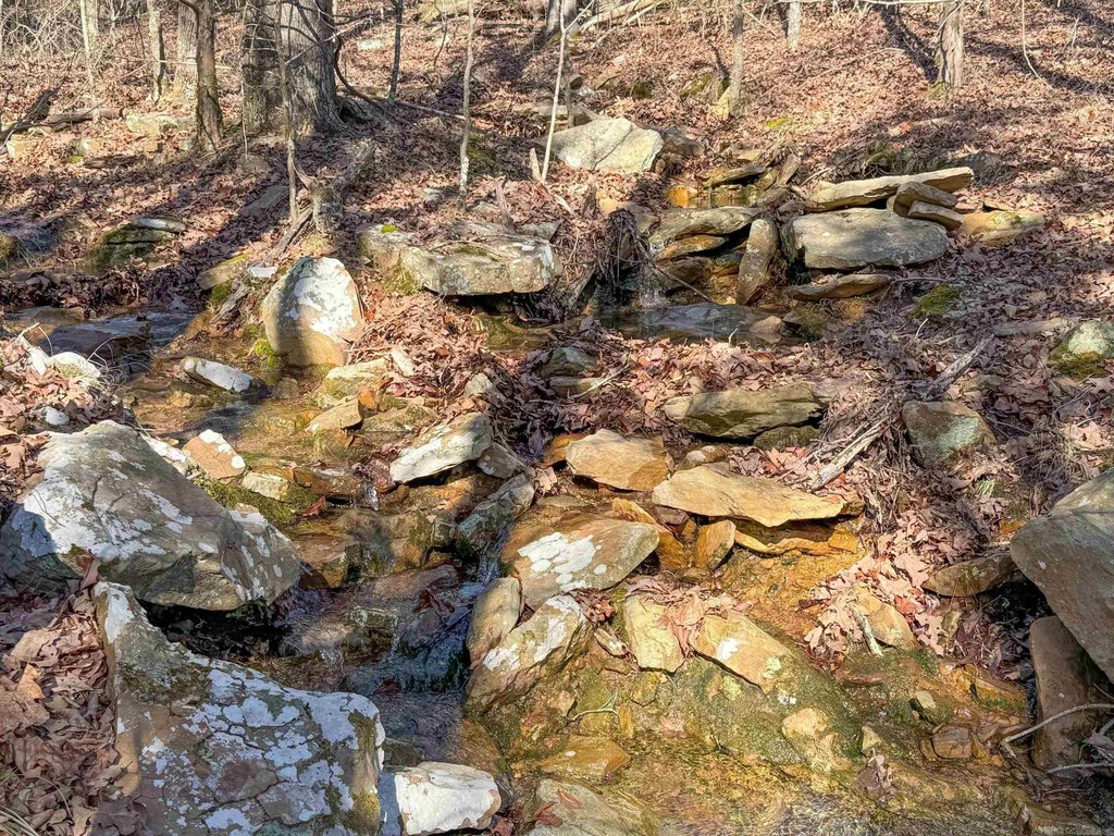 Picture 19