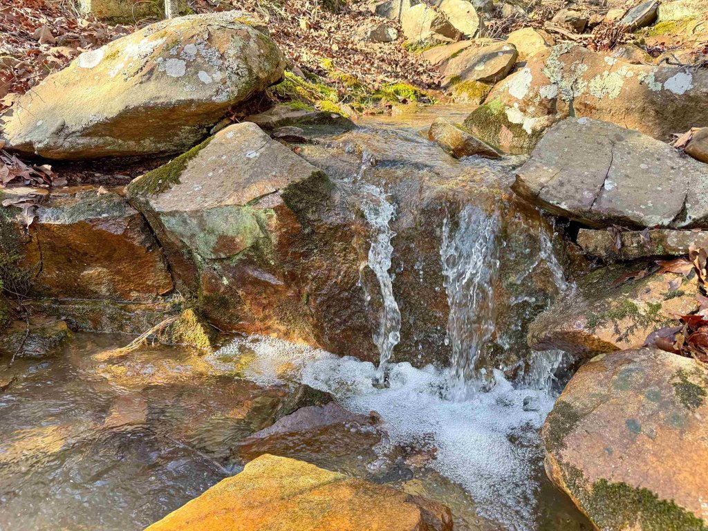 Picture 6
