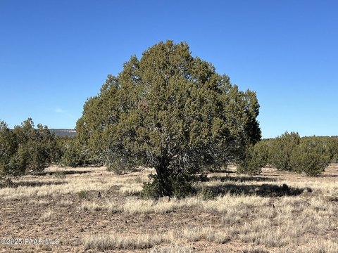 Rare 134+ Acre Land Parcel