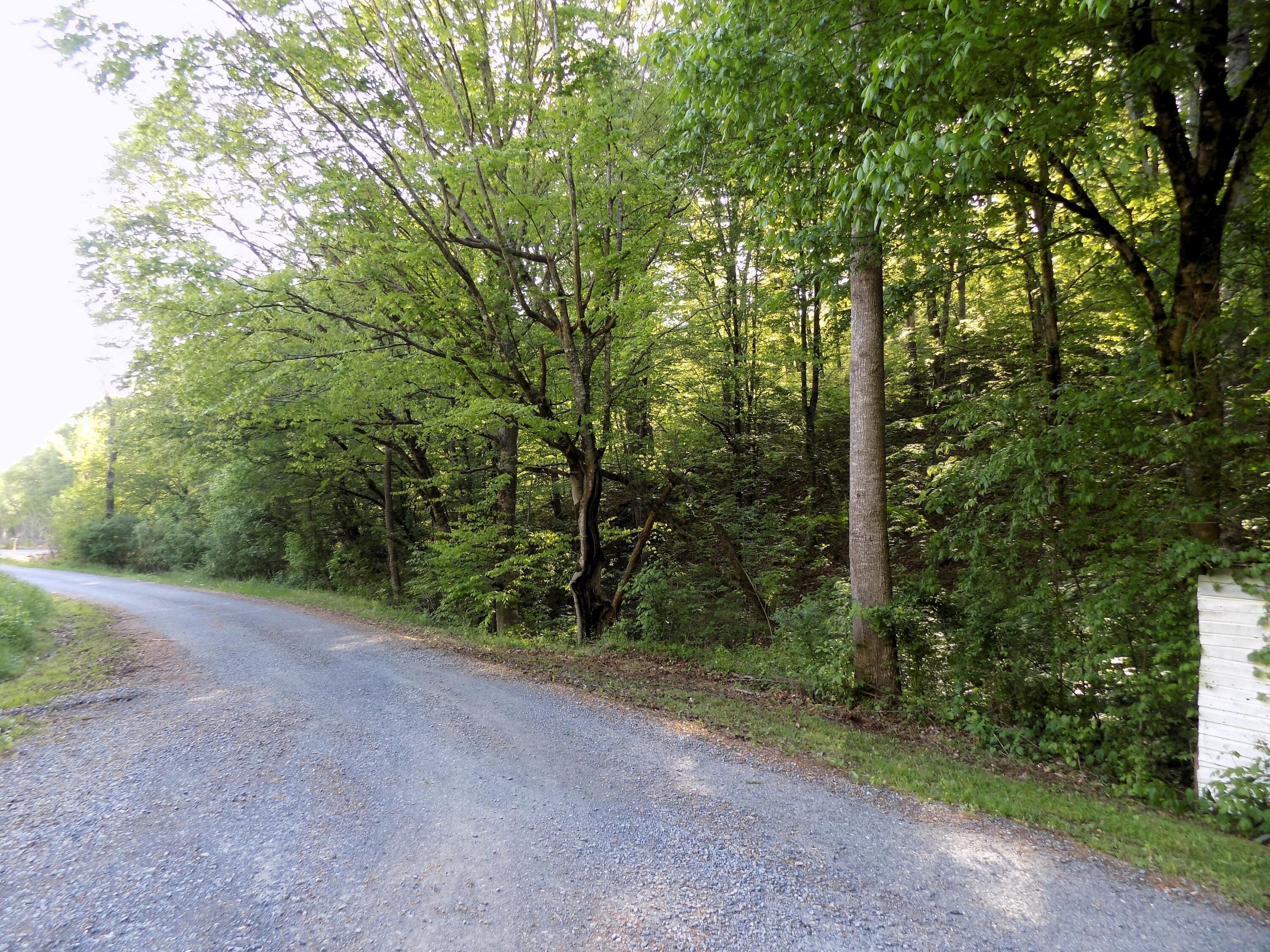 Creek Front Property in Cosby