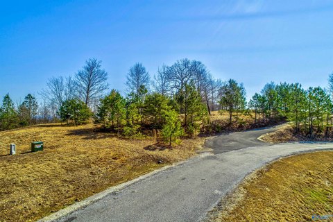 LAND - Cedar Bluff, AL