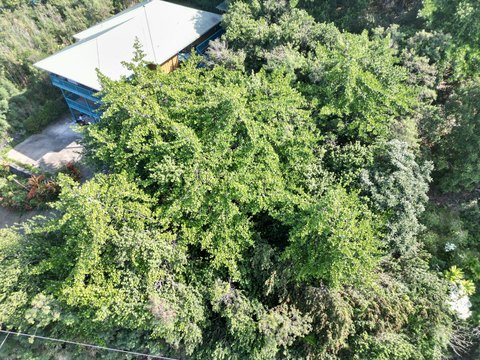 Captain Cook Land Parcel