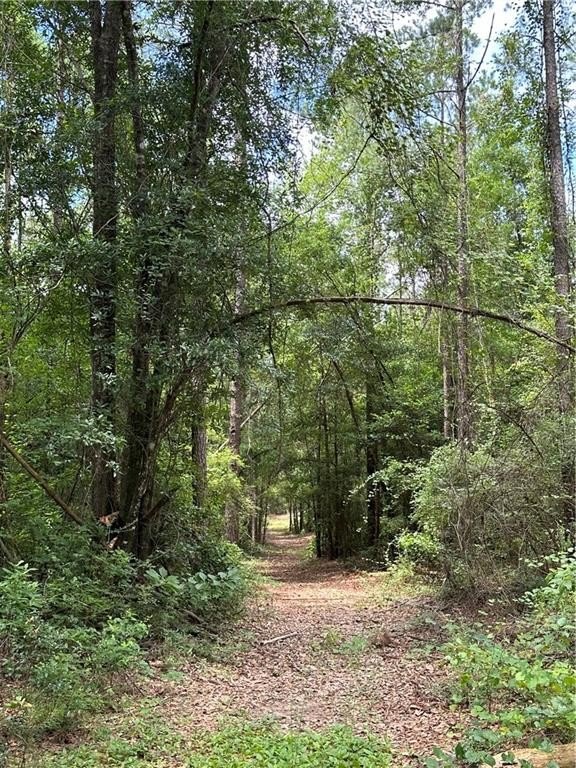 83 Acres Hunting and Timber