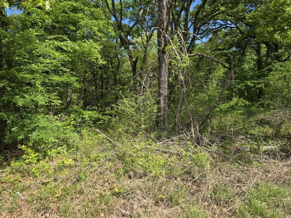 Picture 4