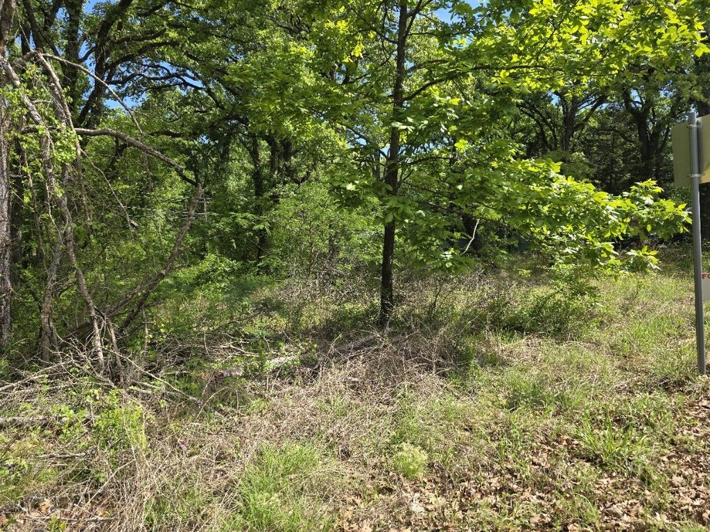 Picture 5