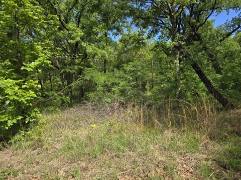 Land, Gun Barrel City, TX