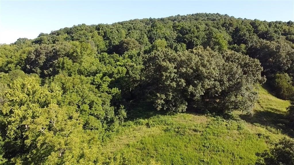 70 Acres on Highway 412