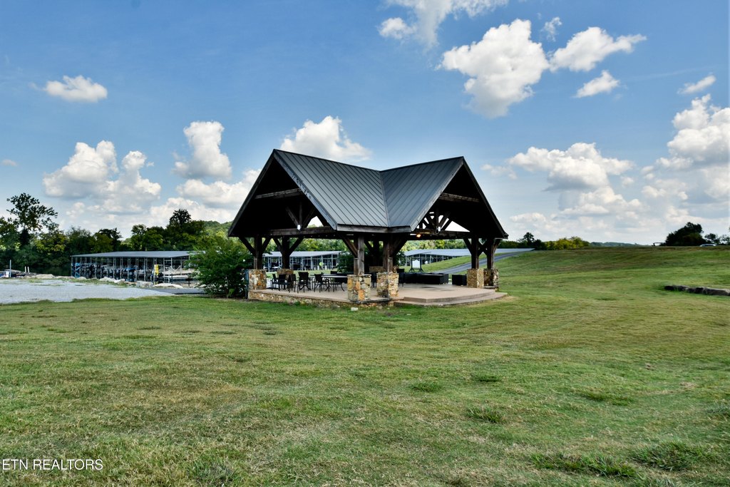 Picture 31