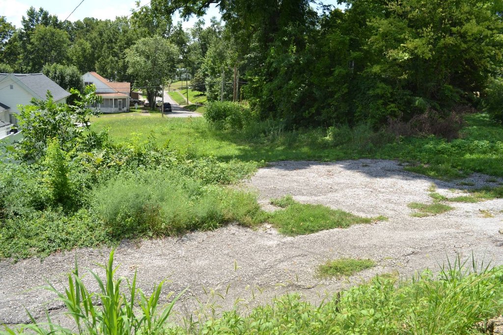 Picture 21