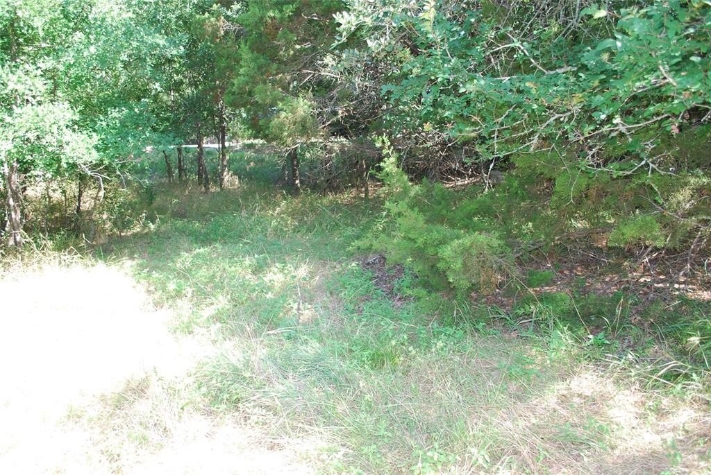 Unimproved Land in White Bluff Resort