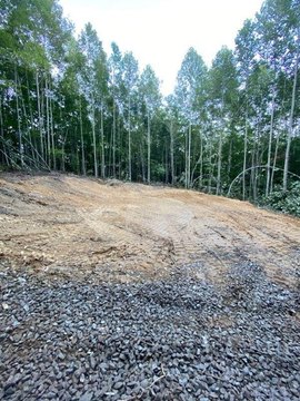 Land, Dunlap, TN